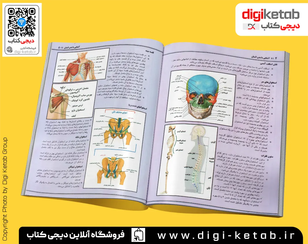 کتاب شناخت اجزای بدن انسان مناسب بچه ها