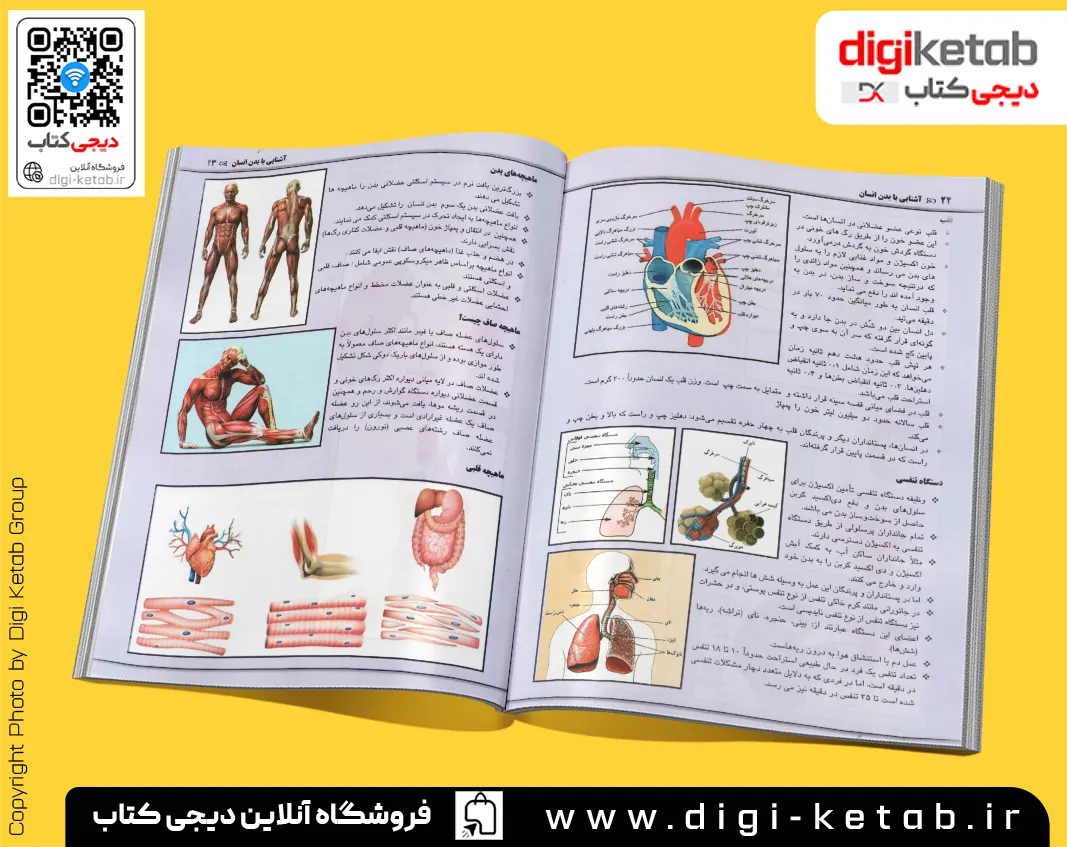 معرفی و خرید کتاب درباره بدن انسان مناسب کودکان